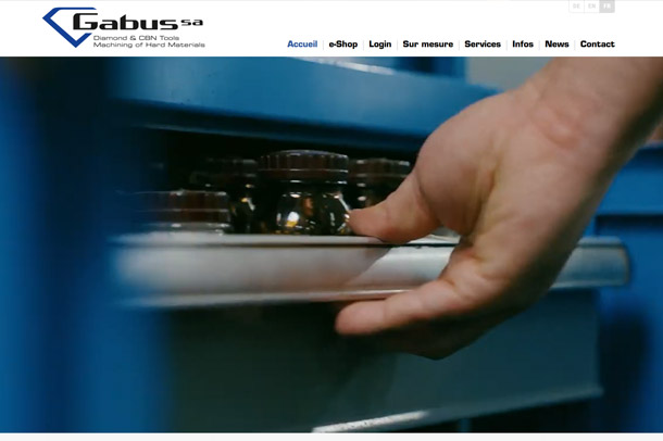Gabus